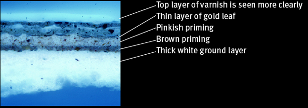 Microscopy diagram